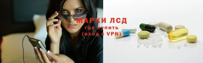 герыч Каменногорск