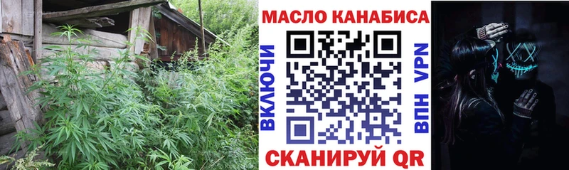 Купить где  Гаврилов Посад  ТГК THC oil 