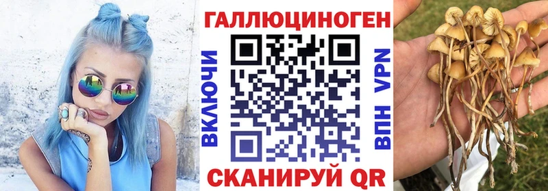 Галлюциногенные грибы мухоморы  Купить  Гаврилов Посад 